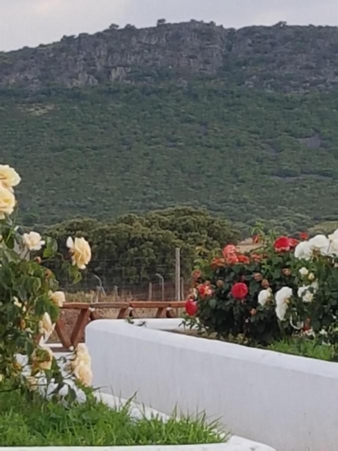 Finca La Rinconada Calamonte Exterior foto